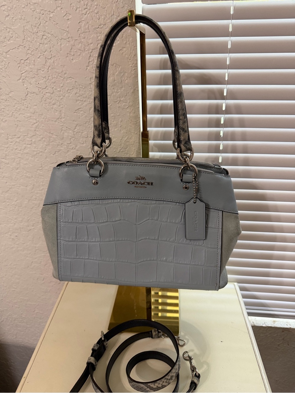 Coach Mini Brooke Carryal Bag